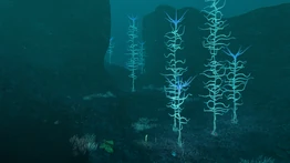 BKZn6.png (6,59 МБ) Северная Зона кровавых водорослей