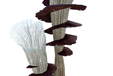 Synthetic Fibers (Below Zero) | Subnautica Wiki | Fandom
