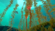 Schlingpflanzen in Subnautica: Below Zero tagsüber