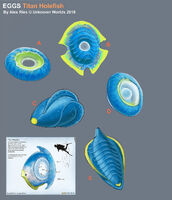 Œufs du Holefish Géant d'Alex Ries