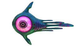Oculus Fauna