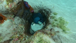 Вход в Пещеры Безопасных отмелей