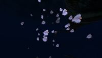 A Shoal of Bladderfish