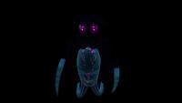 Bioluminescencja