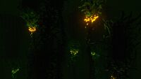 Creepvine