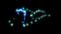 Bioluminescence