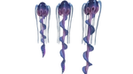 Girlandenqualle