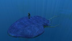 photo Subnautica Reefback Egg Xbox reefback leviathan subnautica wiki