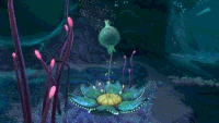 Oxyplant-Idle.gif (7.7 MB) Idle animation
