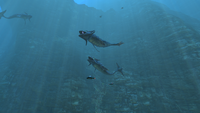 A variety of life forms populating each of the Underwater Islands