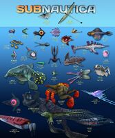 Subnautica Fauna Sheet that featured the Rock Puncher