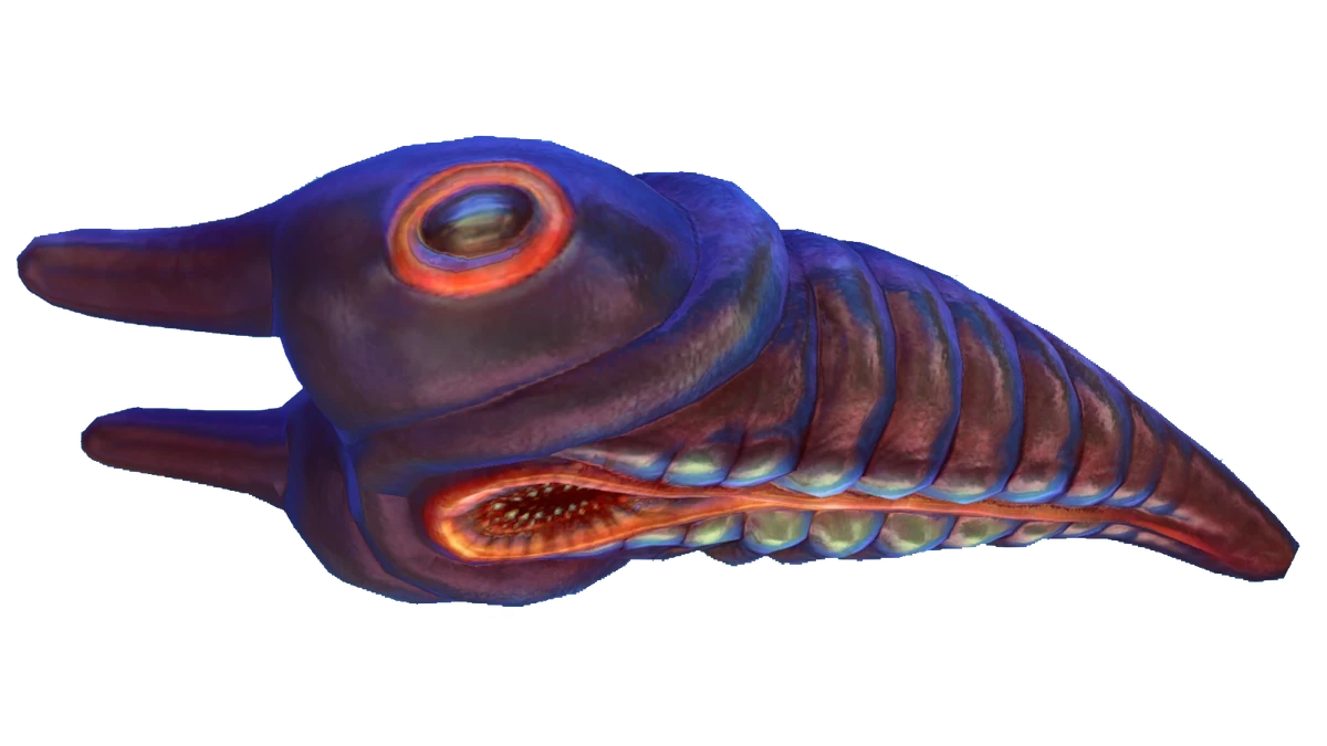 Сабнатика морской дракон левиафан. Левиафан дракон субнатика. Дракон "лава". Рыбы из сабнатики бумеранг. Subnautica пещера карта лавовая зона.