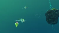 BruteSharkLI2.jpg (115 KB) A pair of Brute Sharks pursuing a Spinnerfish in the Lilypad Islands