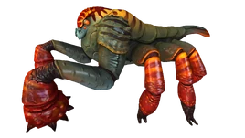 Rock Puncher Fauna