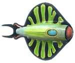 Discus Fish Fauna.png