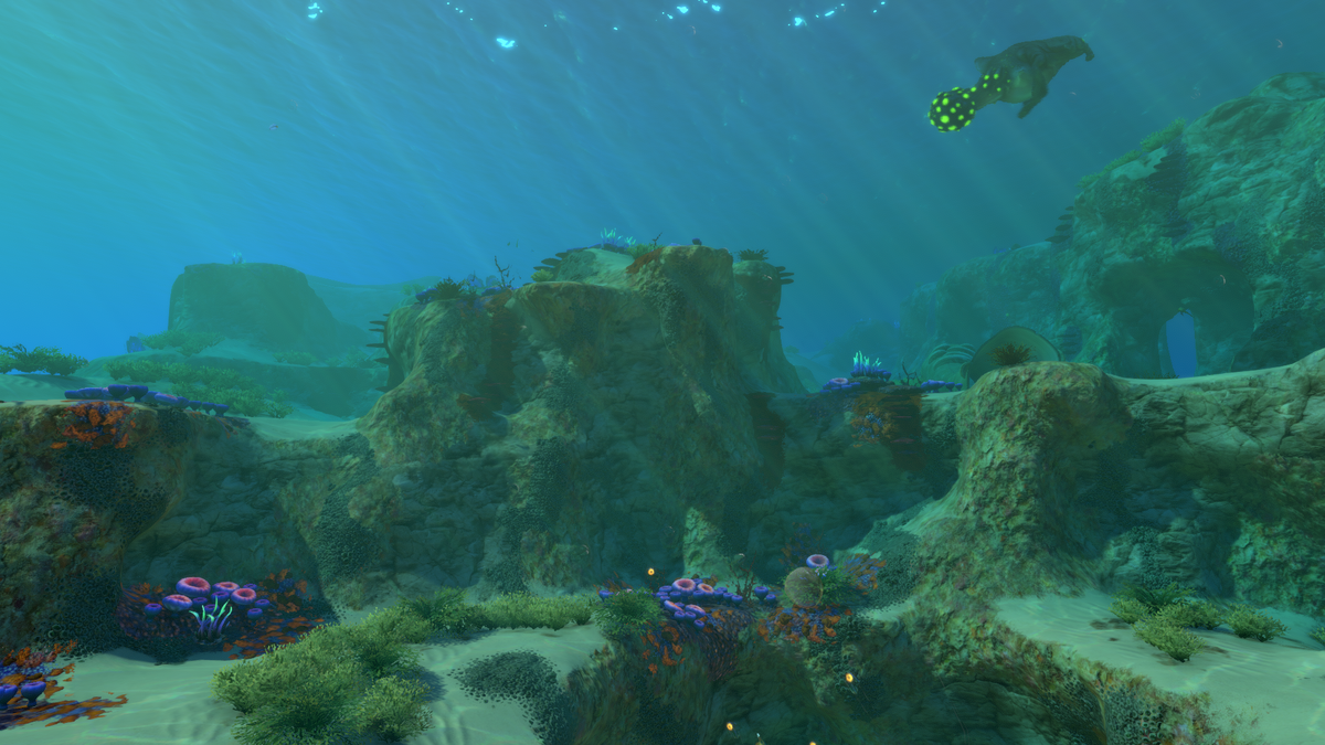 Safe Shallows | Subnautica Wiki | Fandom