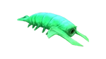 Rockgrub Fauna.png