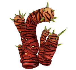 Tiger Plant Flora