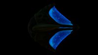 Bioluminescence