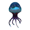 Королевская медуза.png