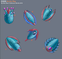 Arctic Ray Egg Designs