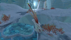 Frost Vase Plant | Subnautica Wiki | Fandom