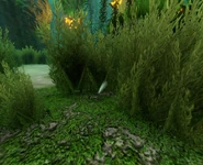 Сабнавтика лес водорослей. Где найти зубы сталкера. Сталкер зов припяти соснодуб скелет. База бандитов сталкер тень чернобыля. Где найти зубы сталкера.