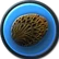 Coralchunk.png