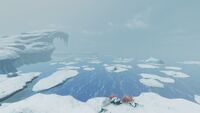 A view of multiple ice floes above the biome