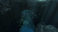 A Shoal of Boomerang near the Jellyshroom Cave Entrance