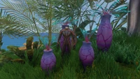 Size reference with the Player and Ming Plants of different sizes