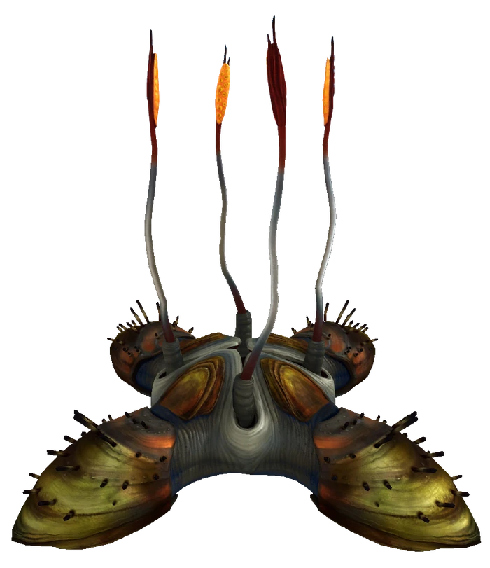 Subnautica below zero шипастая ловушка. Морские монстры. Шипохват. Сабнатика жнец левиафан. Морской дракон левиафан subnautica.