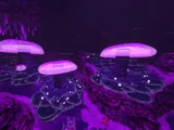 Jellyshroom Cave