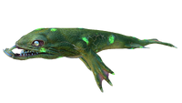Lavaechse
