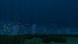 STP Dunes Border.png