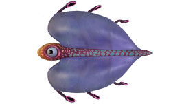 Bladderfish Fauna