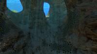 Shuttlebugs in the Safe Shallows Caves