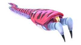 Crabsnake Fauna