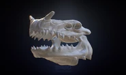 HighpolySDL Skull.jpeg (983 KB) Highpoly model of the skull from Sketchfab