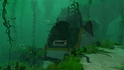 KelpForestWreck-3