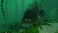 A wreck in the Kelp Forest