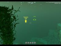 Subnautica 2017-01-03 14-34-10-52