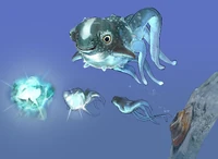 Cute Fish Concept Art.jpg (678 KB) Cuddlefish (the formerly intended "Crashfish") - by