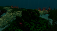 A row of Green Table Coral