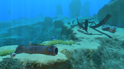 Safe Shallows Small Wreck 2.png