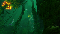 Stalkers are a common sight in the Kelp Forest