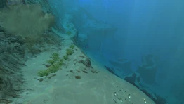 Безопасные отмели рядом с Травяными плато