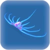 Jellyray