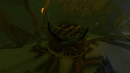 Sea Monkey Nest Header