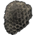 Physicorium Bar icon